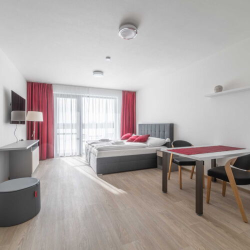 Apartament barrierfree cu 1 camera pentru 2 pers. (se poate solicita pat suplimentar)