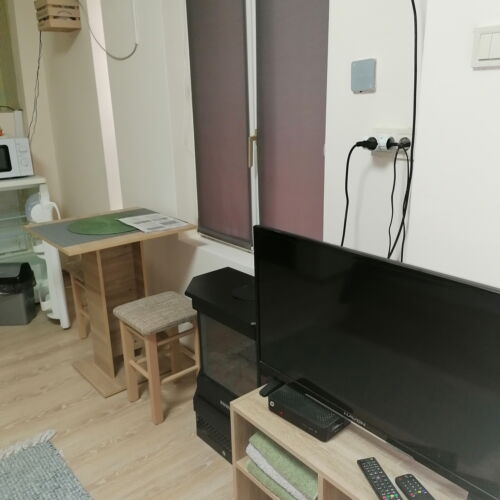 Studio Garden View Twin Room