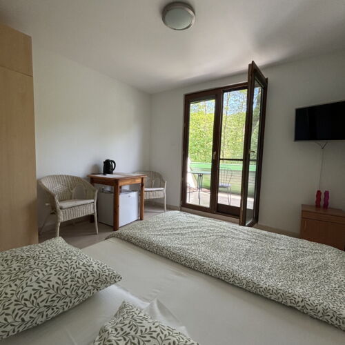 Pokój 2-osobowy na parterze z widokiem na park