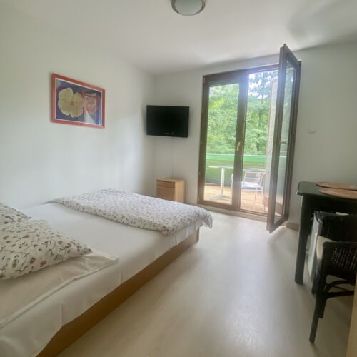 Pokój 2-osobowy na parterze z widokiem na park