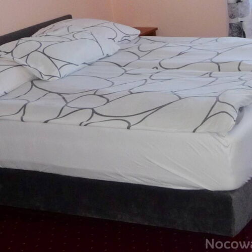 Pokoj s koupelnou s manželskou postelí v přízemí