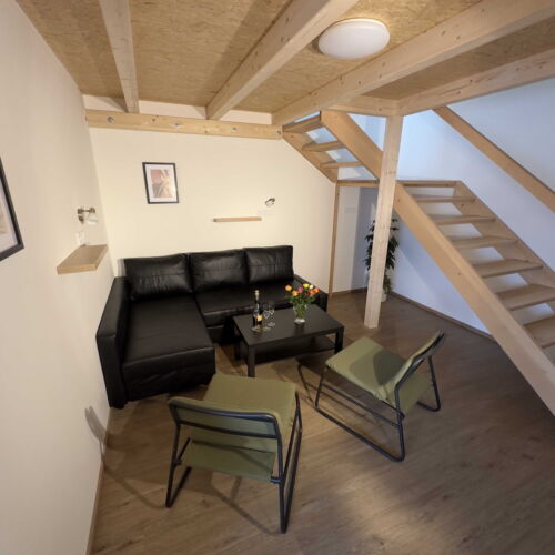 Deluxe 2-Room Apartment for 5 Persons with Kitchenette (extra beds available)