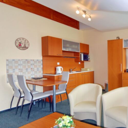 Apartman s manželskou postelí s 1 ložnicí (s možností přistýlky)