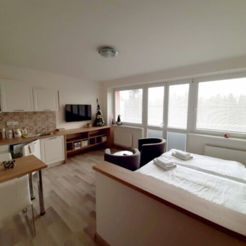 Apartman s manželskou postelí s 1 ložnicí (s možností přistýlky)