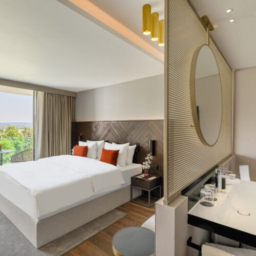Superior Partial Lake View Double Room