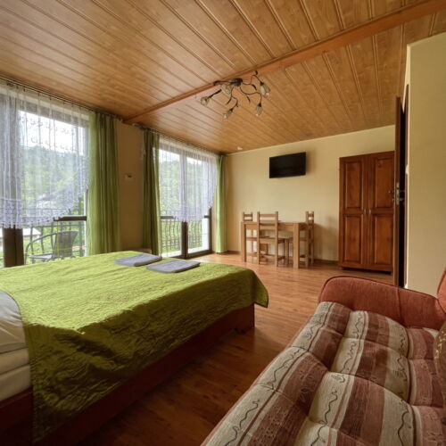 Camera dubla standard cu baie (se poate solicita pat suplimentar)