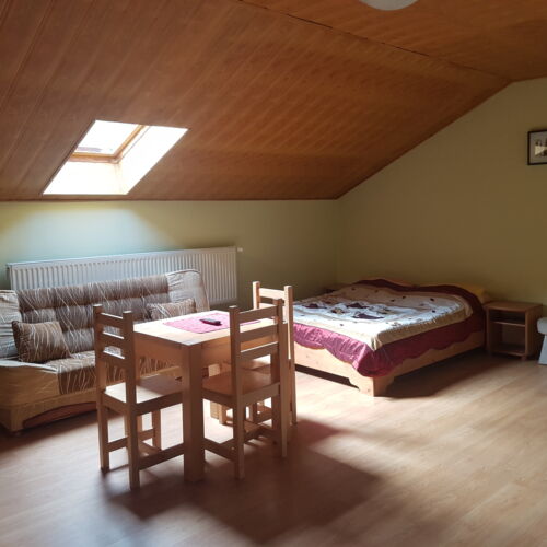 Camera cvadrupla standard cu baie (se poate solicita pat suplimentar)