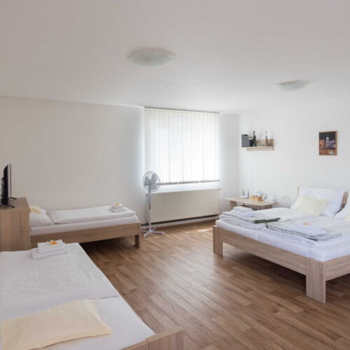 Camera cvadrupla cu duș cu chicinetă proprie (se poate solicita pat suplimentar)