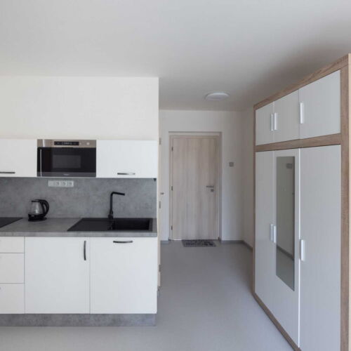 Apartament cu duș cu chicinetă proprie cu 1 camera pentru 4 pers. (se poate solicita pat suplimentar)