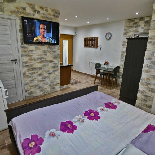 Apartament 2-osobowy z prysznicem z aneksem kuchennym z 1 pomieszczeniem sypialnianym