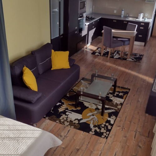 Apartament cu grădină cu vedere spre mare cu 2 camere pentru 4 pers.