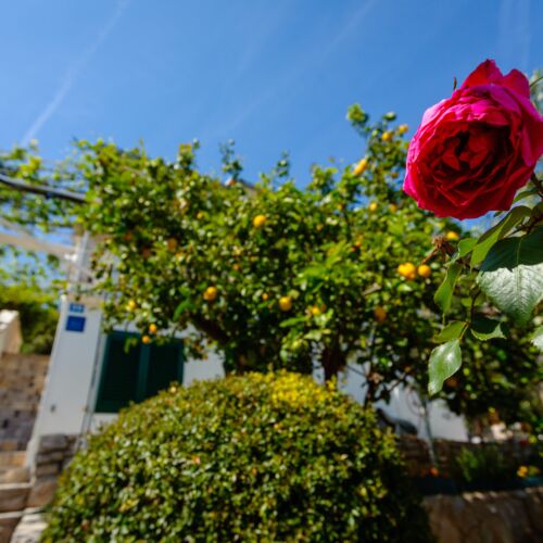 1-Zimmer-Apartment für 3 Personen mit Klimaanlage und Aussicht auf das Meer A-20021-b