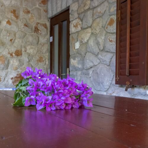 Apartament cu aer condiționat cu terasă cu 3 camere pentru 5 pers. A-20594-a