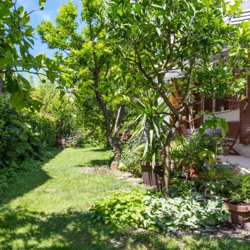 Apartament 4-osobowy z klimatyzacją z tarasem z 1 pomieszczeniem sypialnianym A-20999-a