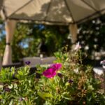 Sa terasom apartman za 6 osoba(e) sa 3 spavaće(om) sobe(om) A-21755-a