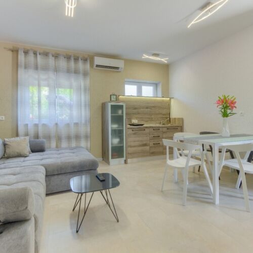 Apartament cu aer condiționat cu terasă cu 2 camere pentru 4 pers. A-22588-a