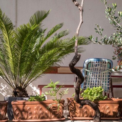 1-Room Air Conditioned Apartment for 4 Persons with Terrace A-22691-a