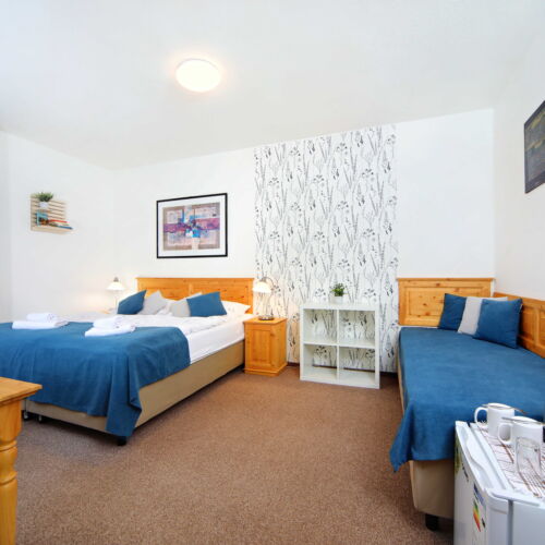 Standard  Pokoj s manželskou postelí (s možností přistýlky)