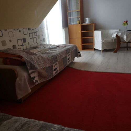 Pokój 2-osobowy z łazienką z widokiem na ogród