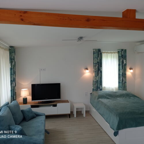 Apartament 2-osobowy na parterze z widokiem na ogród z 1 pomieszczeniem sypialnianym (możliwa dostawka)