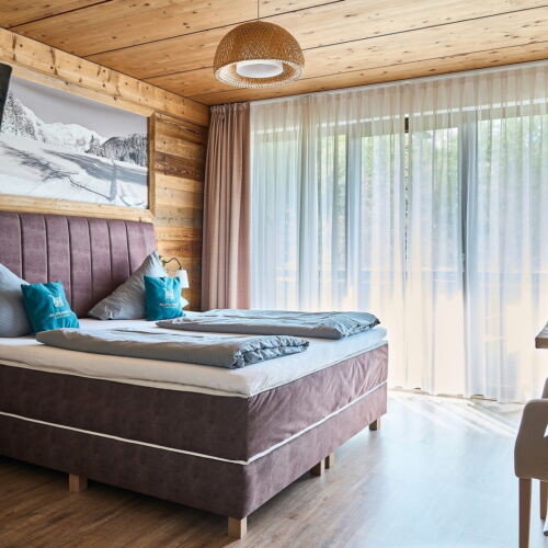 Camera dubla standard