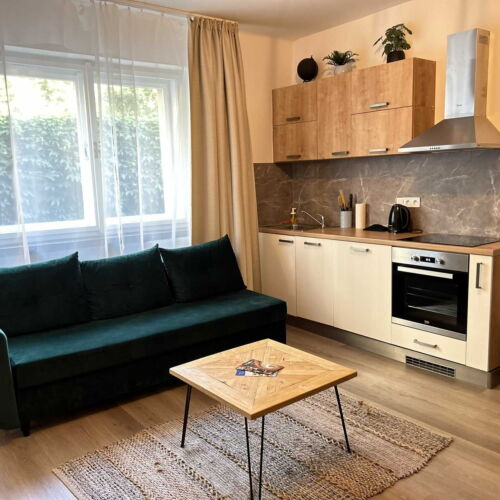 Apartment for 2 Persons with Shower and Kitchenette (extra bed available)