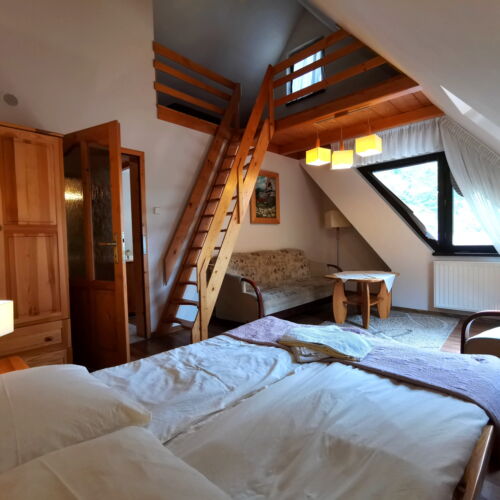 Camera studio cu vedere spre munte pentru 5 pers.