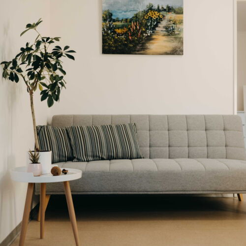 Apartman (jako celek) se sprchou  s manželskou postelí