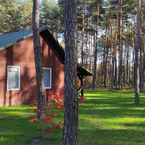 Casă de vacanță întreaga unitate cu vedere spre pădure pentru 5 pers. (se inchirieaza doar integral)