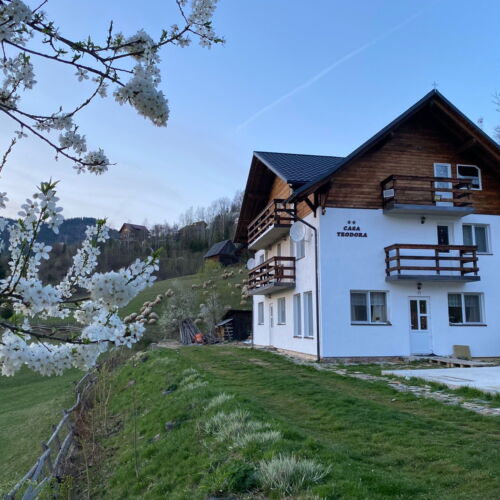 Camera dubla la etaj la parter (se poate solicita pat suplimentar)