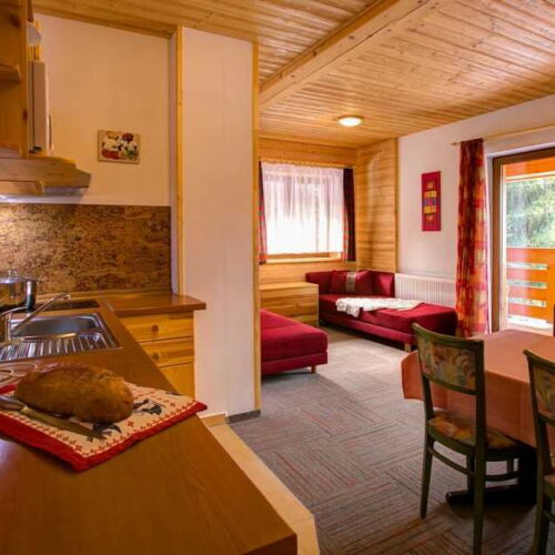 Apartament cu balcon cu vedere spre râu cu 1 camera pentru 2 pers. (se poate solicita pat suplimentar)