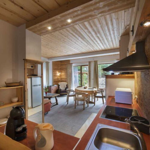 Apartament cu terasă cu vedere spre râu cu 2 camere pentru 4 pers. (se poate solicita pat suplimentar)