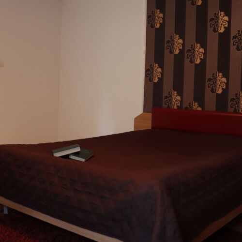 Camera dubla cu baie comună (se poate solicita pat suplimentar)