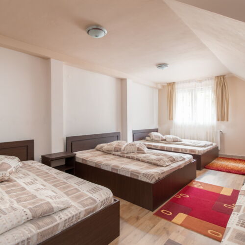 Forest View Ground Floor 1-Room Apartment for 6 Persons