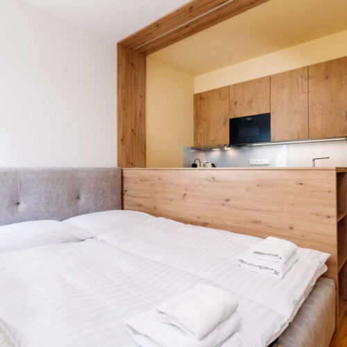 Studio Apartman s manželskou postelí s 1 ložnicí s výhledem do zahrady