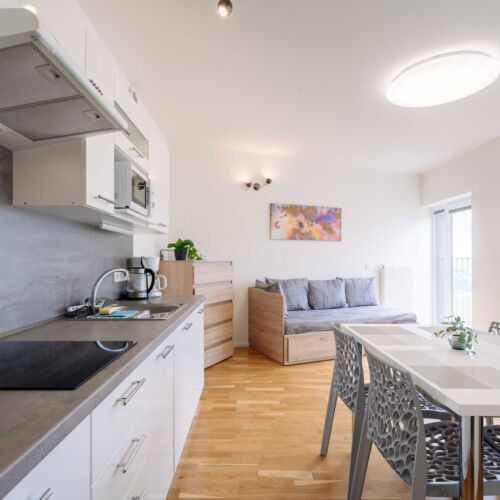Studio Apartman pro 4 os. s 1 ložnicí s výhledem do zahrady