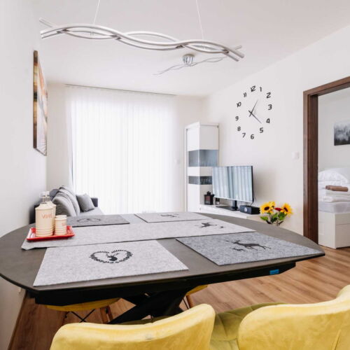 Apartman s terasou s manželskou postelí s 1 ložnicí s výhledem do zahrady (s možností přistýlky)