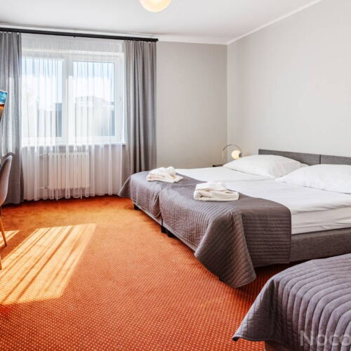 Camera twin cu duș cu grădină (se poate solicita pat suplimentar)