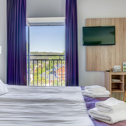 Forest View Lux Triple Room