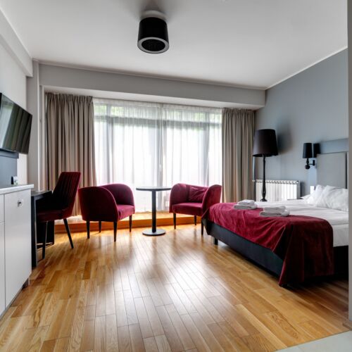 Deluxe Double Room with Terrace