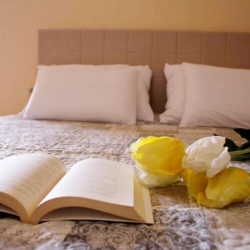 Apartament cu aer condiționat cu vedere spre mare cu 1 camera pentru 3 pers.