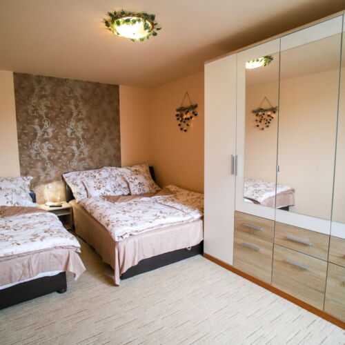 Apartament cu vedere spre pădure cu vedere spre munte pentru 6 pers. (se inchirieaza doar integral)