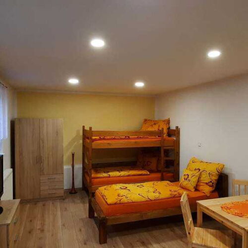 Apartment for 3 Persons with Shower and Kitchenette (extra bed available)