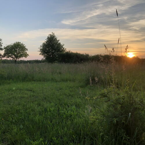 Gospodarstwo agroturystyczne 6-osobowy z tarasem z widokiem na ogród