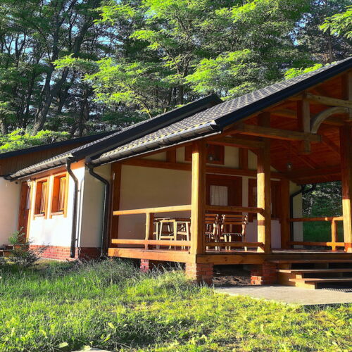 Camera twin cu terasă cu vedere spre pădure