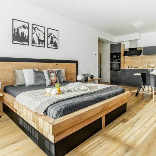 Studio Apartman se sprchou pro 2 os. (s možností přistýlky)