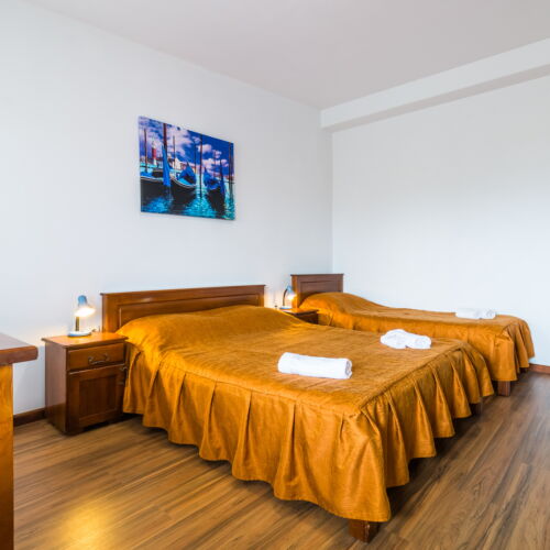 Camera tripla familial(ă) cu vedere spre grădină