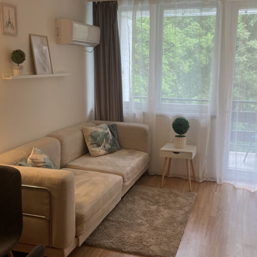 Apartament 2-osobowy z balkonem z widokiem na park z 1 pomieszczeniem sypialnianym