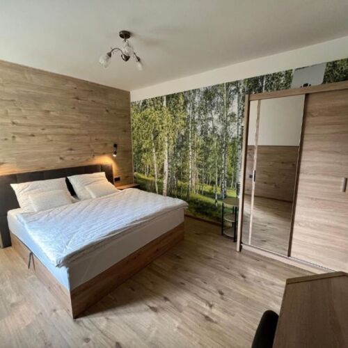 1-Room Apartment for 2 Persons with Shower and Kitchenette