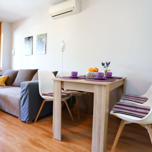 Apartament familial(ă) cu panoramă cu 1 camera pentru 2 pers. (se poate solicita pat suplimentar)